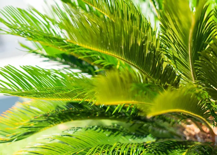 Infinity View By Guide * Primošten